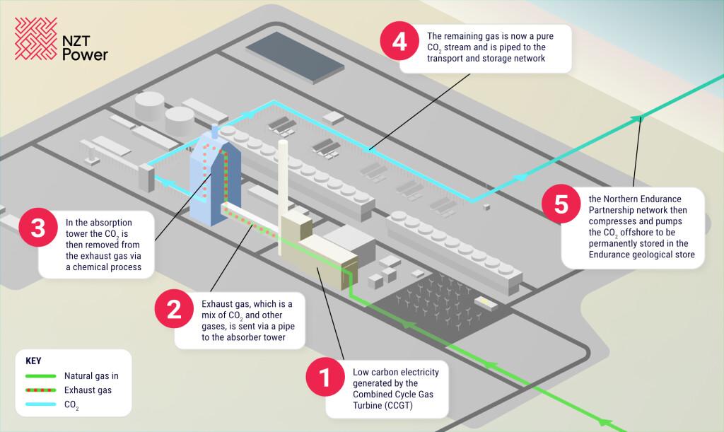 1024x610 816 1710505768 nzt annotated illustration