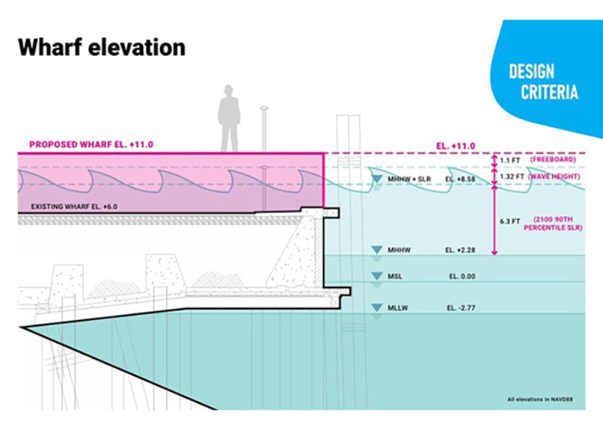 1205x0 s3 64699 proposed sections