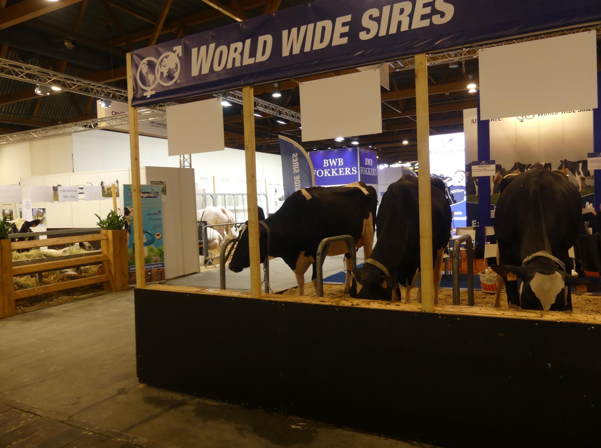 AGRIBEX 2023 exibition view