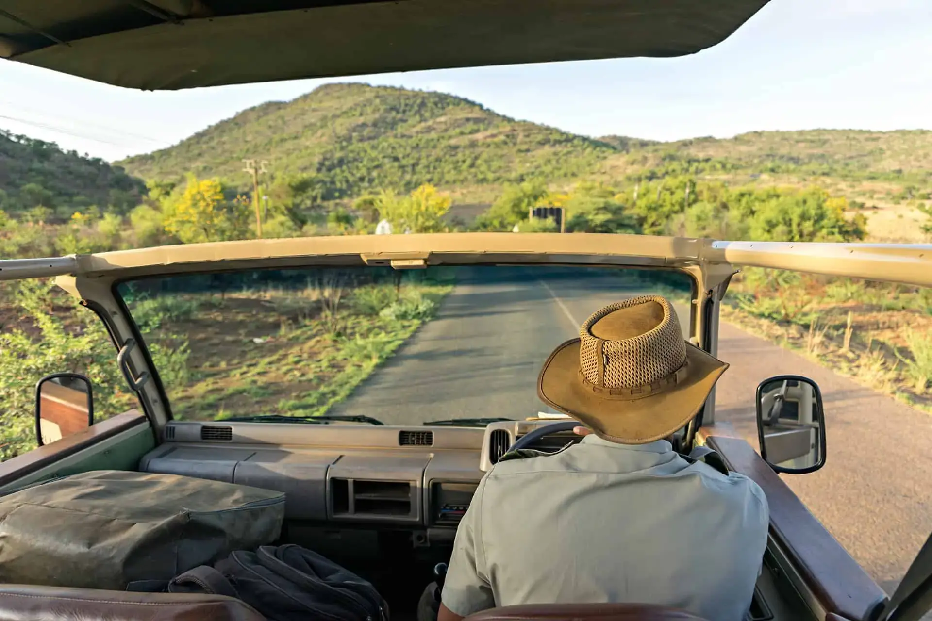 Safari en afrique du sud